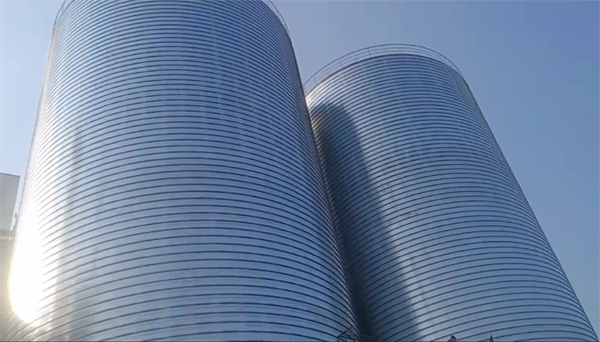 新市2座混凝土高架卷板仓